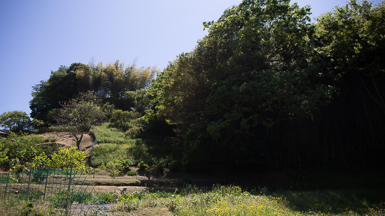 能美島の大原地区にある能美城跡。現在は大原ふれあい広場として整備されている。