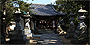 桂浜神社の境内および拝殿。