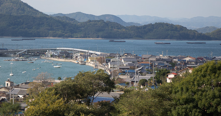 明見社付近から眺めた田島の町並み。