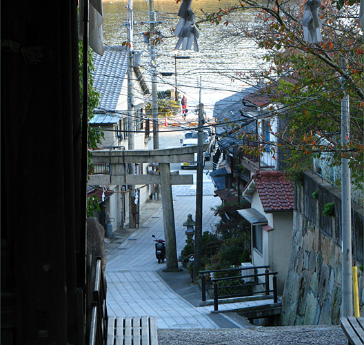 大避神社参道沿いの家並み。